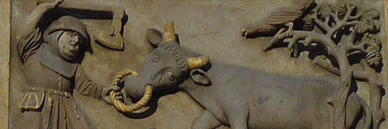 Tomáš Vtípil banner