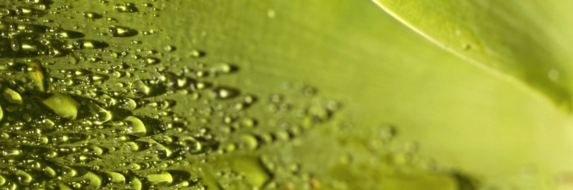 JustJustinLink's profile banner image