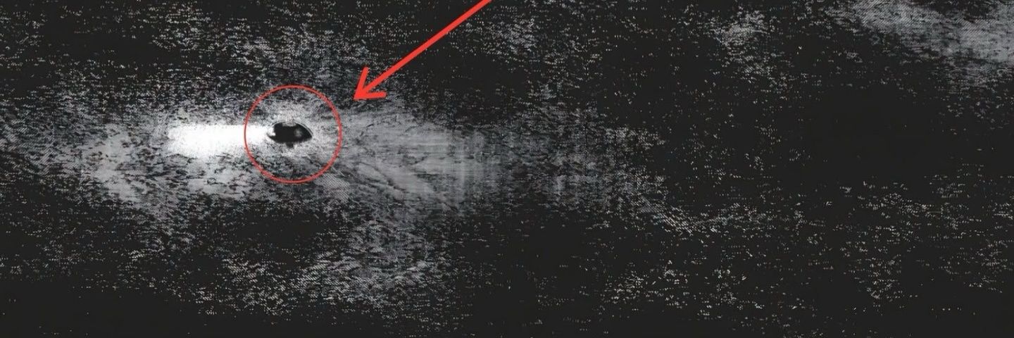 qapolla's profile banner image