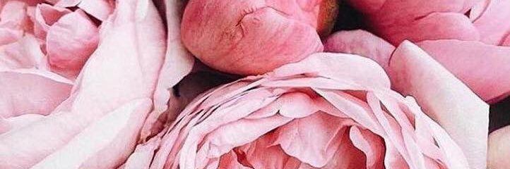 CarlySnowball's profile banner image