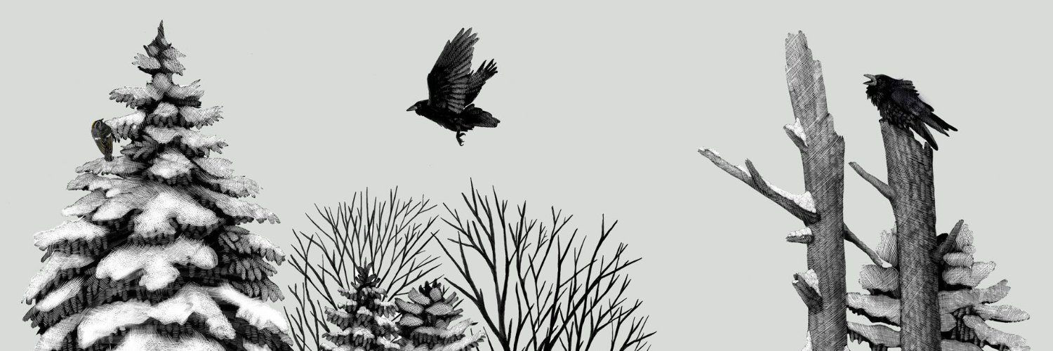aidopple's profile banner image
