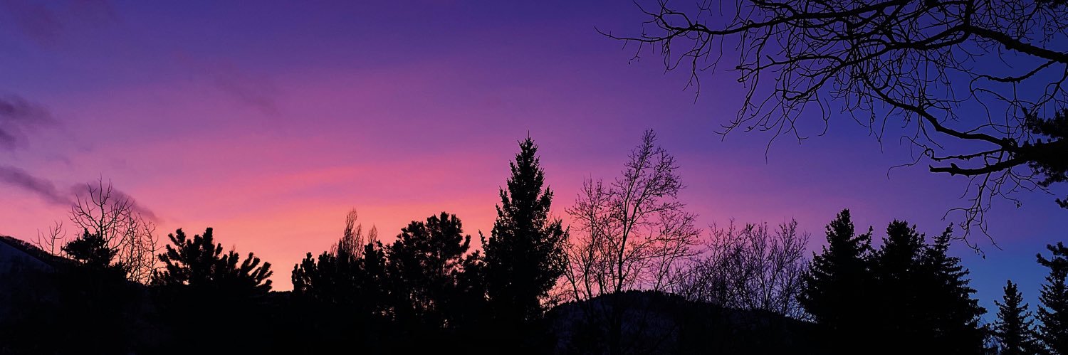Felicitasdg's profile banner image