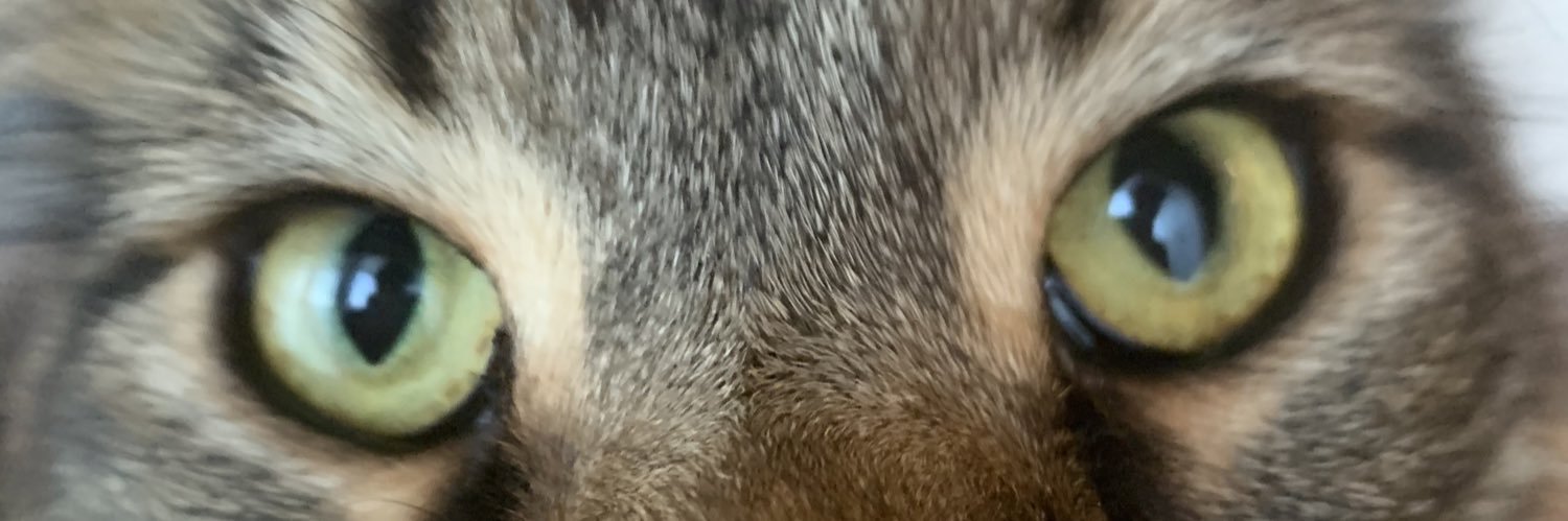 sky2boss's profile banner image