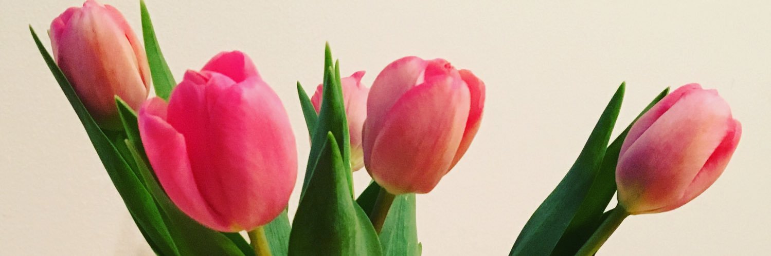 tamfriesen's profile banner image