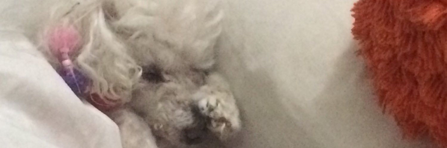nannynes's profile banner image