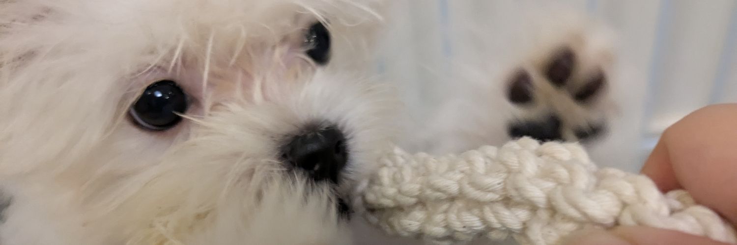 一(はじめ) banner