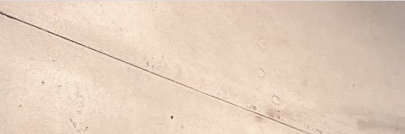 raimenist's profile banner image