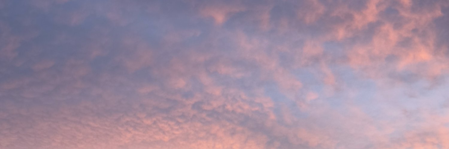 spidoweb's profile banner image