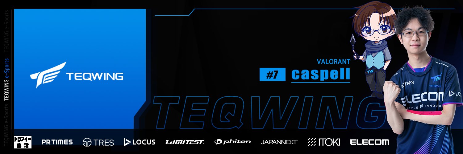 TEQWING caspell banner