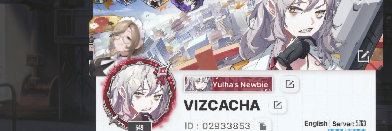 【不可視】• Vizcacha banner