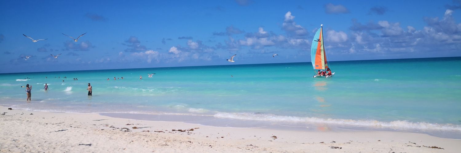 mickardo99's profile banner image