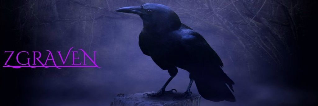 ZGxRavenx's profile banner image