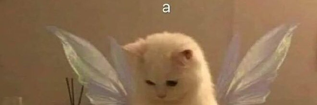 cloying_'s profile banner image