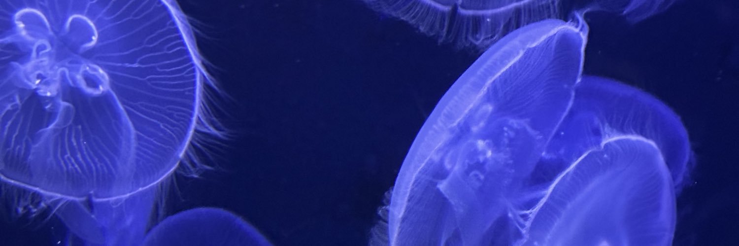 iamjdgarner's profile banner image