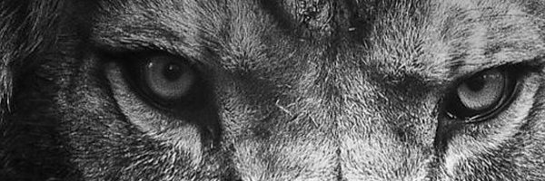 CombineMike Profile Banner