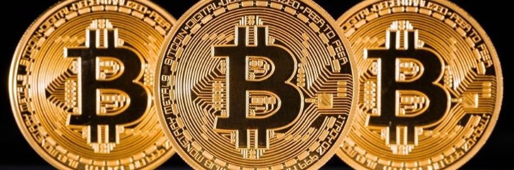 cryptobork2's profile banner image