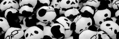 PandaLokona's profile banner image