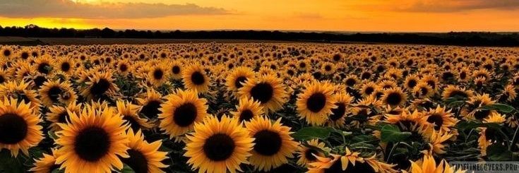 CandeeCalderon9's profile banner image