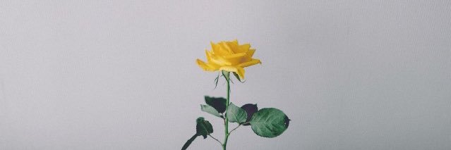 __TayMill's profile banner image