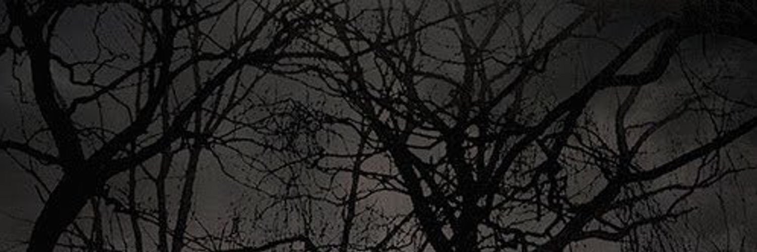 W200re's profile banner image