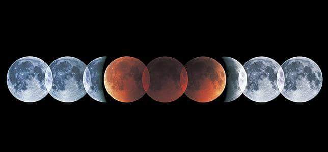 _MiluC13's profile banner image
