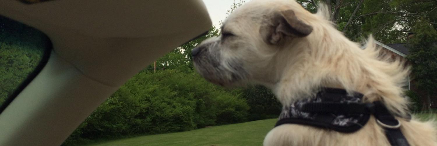 zacgammons's profile banner image