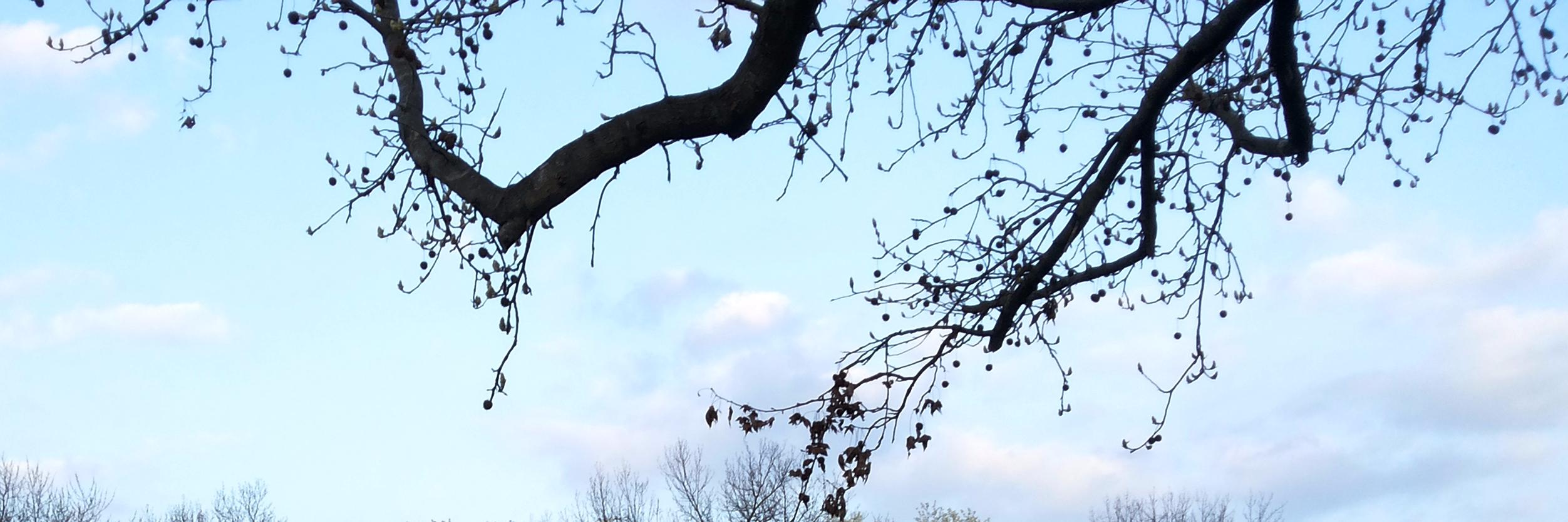 imspa's profile banner image