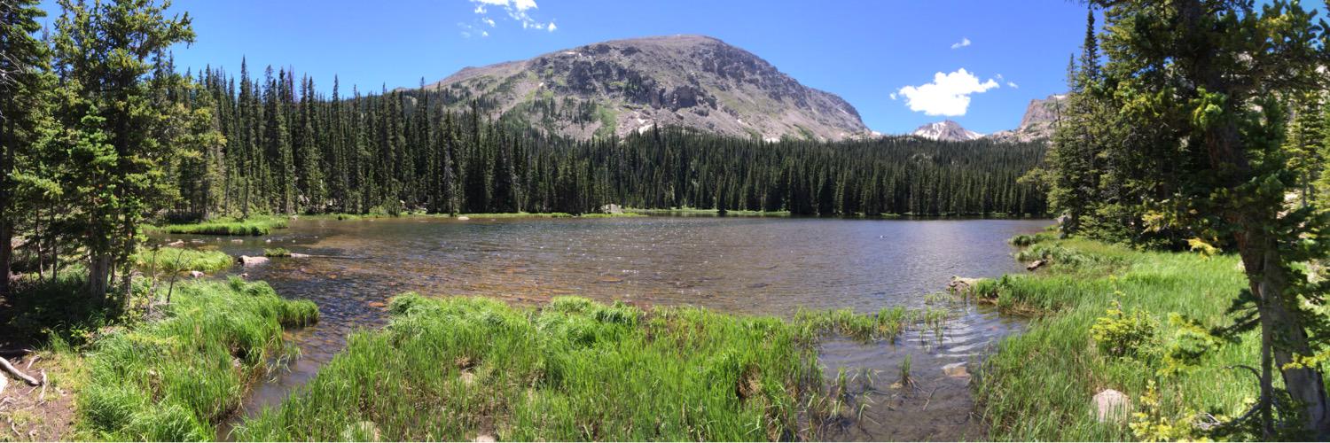 Caleb Lindgren banner