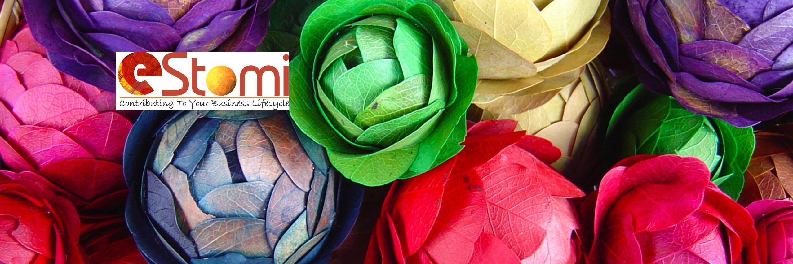 eStomiTech's profile banner image
