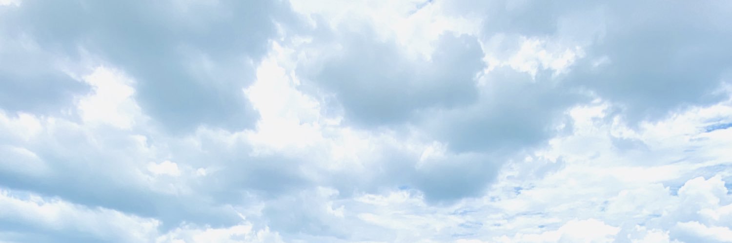 stephanielikins's profile banner image