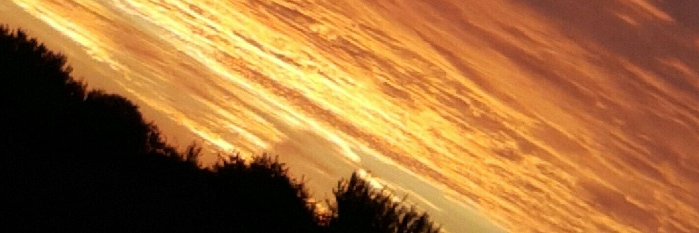 crdavis71's profile banner image