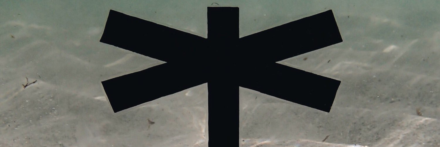 PalmEraMia's profile banner image
