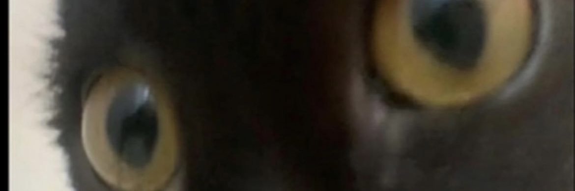 poopoo peepee banner