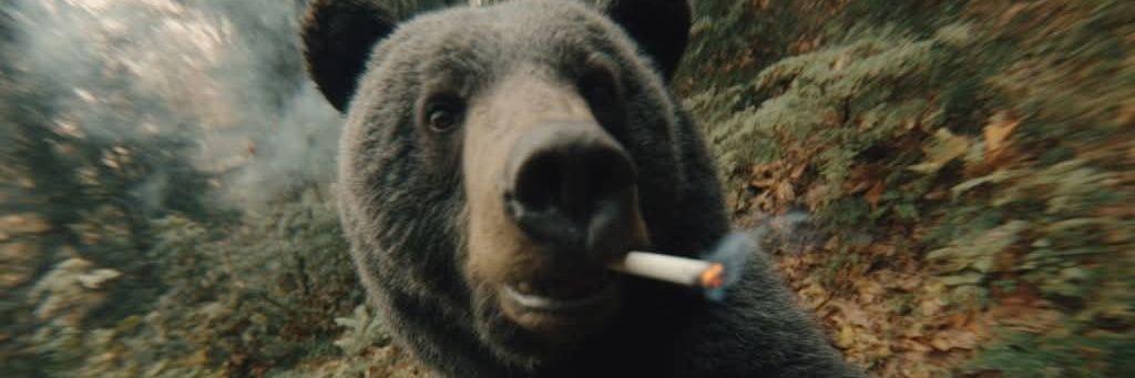 The WEEDRUS86 @HALIFAX NS banner