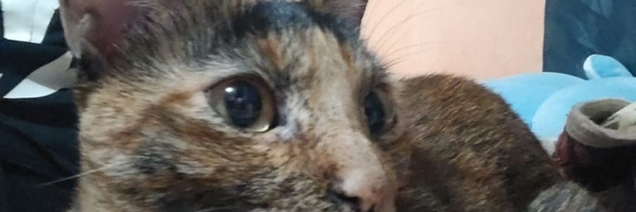 DanPastor01's profile banner image