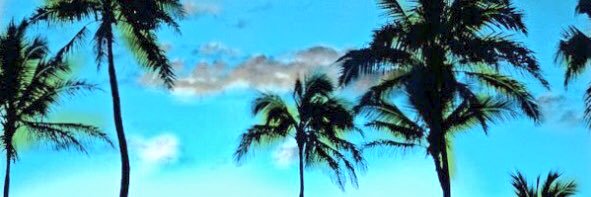HarBear23's profile banner image