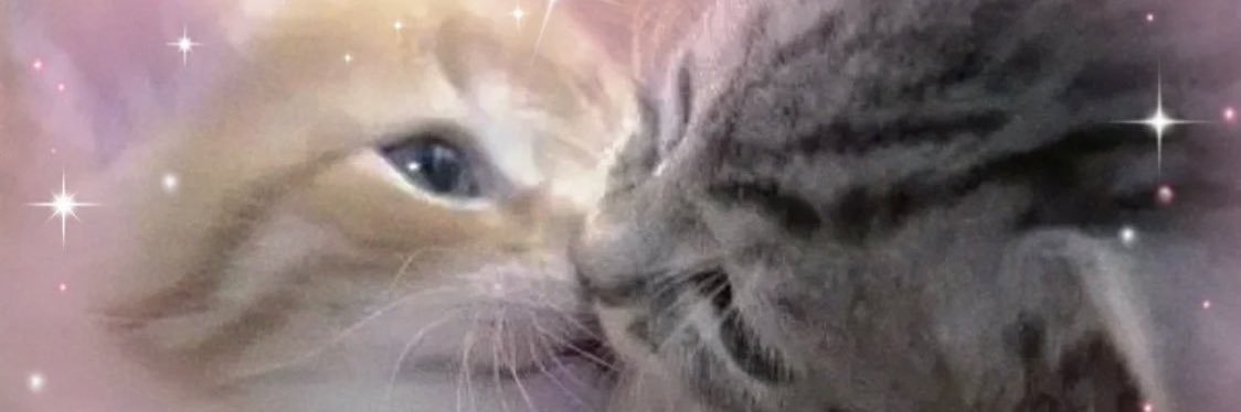 itbrbs's profile banner image