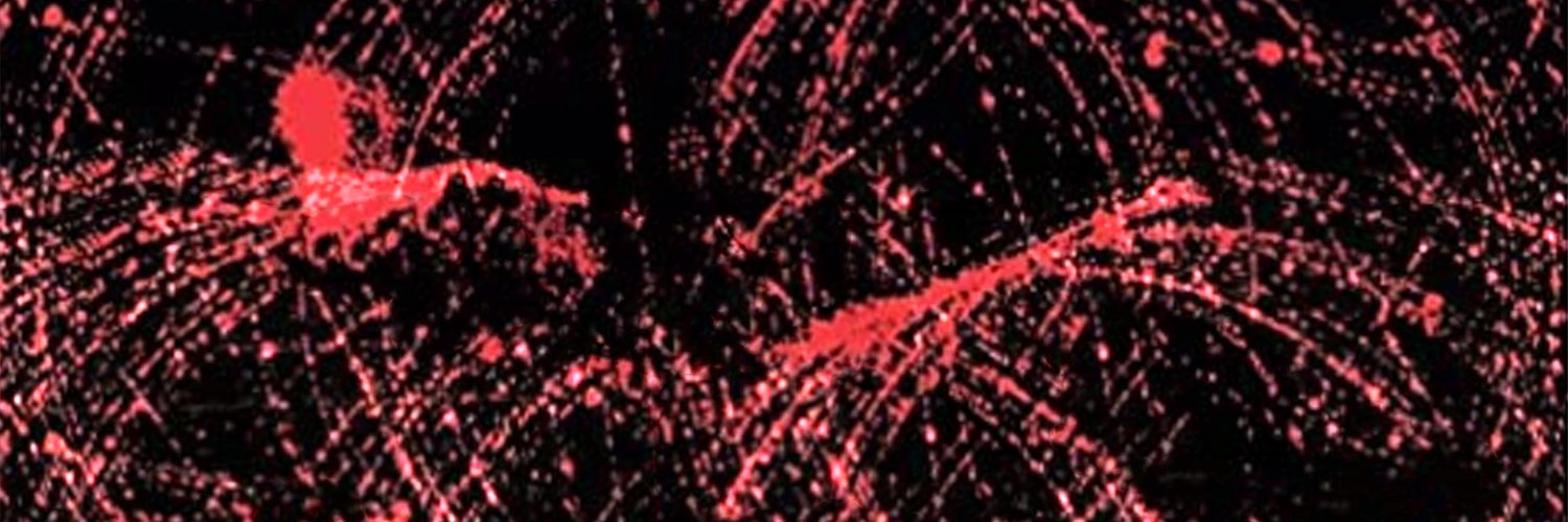 zero banner