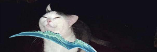 Yvonne H./Sen.H.H.S., over on bluer skies banner