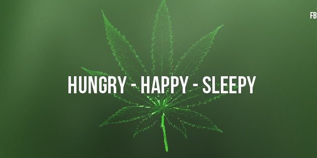 komanglolet's profile banner image