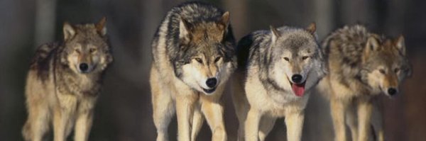 Keith5David Profile Banner