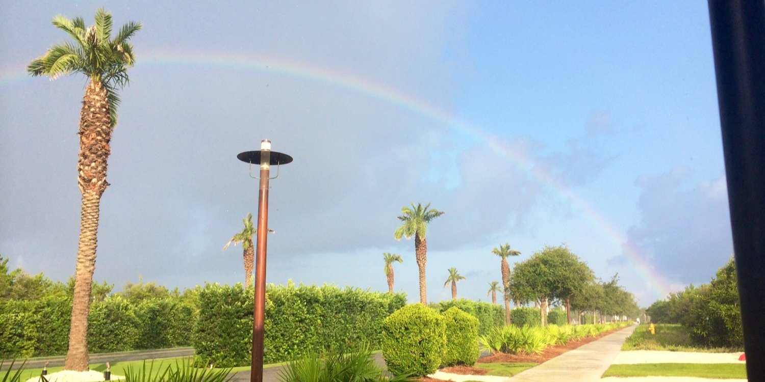 Livin the Dream banner