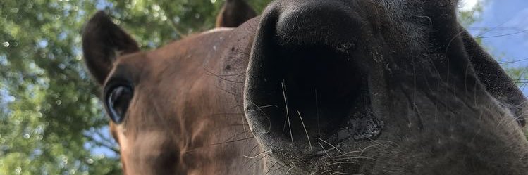 iluisaam's profile banner image