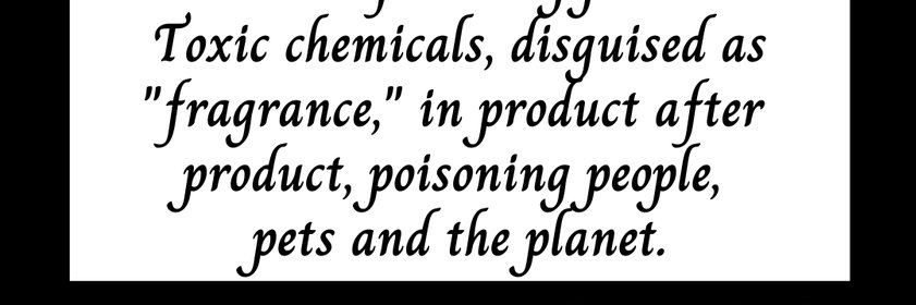 Jacqueline Rice banner