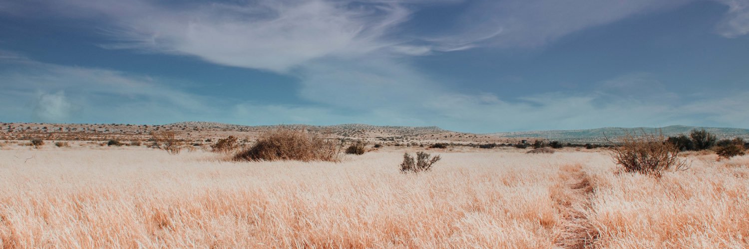 TateWhite's profile banner image