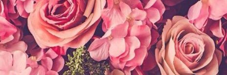 AidaRamos1's profile banner image