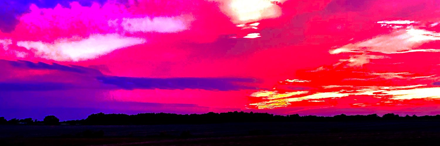davancharlene's profile banner image