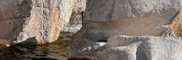 felipeapiress Profile Banner