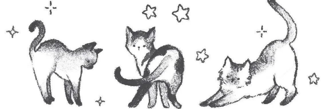 princesa ☆ banner