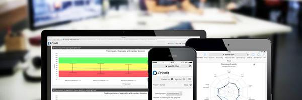 Prindit_ Profile Banner